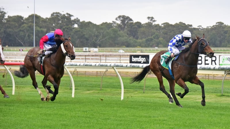 Údarás Rialála Cearrbhachais le bunú an chéad bhliain eile