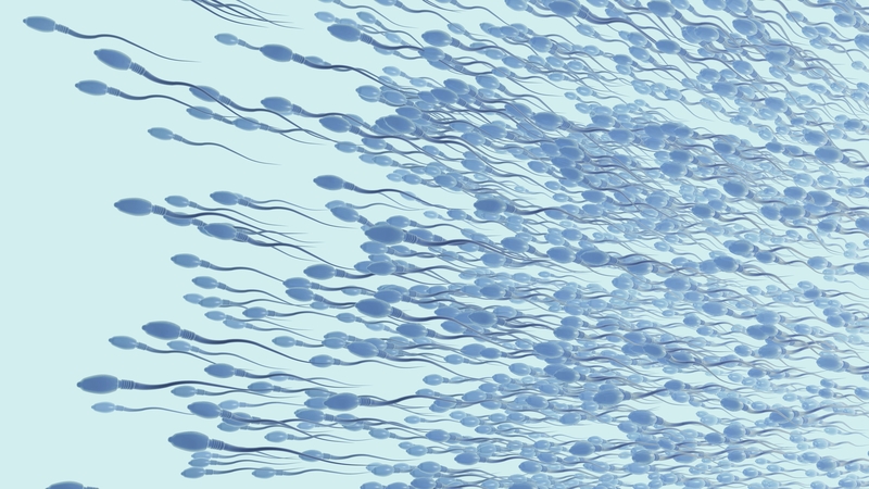 Sperm count is not the only factor that affects fertility - the speed of sperm movement, which was not measured in the study, also plays a crucial role