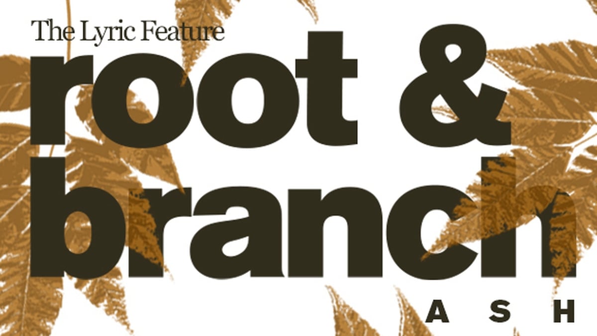 Root and Branch: Episode 5 - Ash | The Lyric Feature