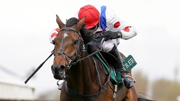 Harry Skelton steered Protektorat to victory