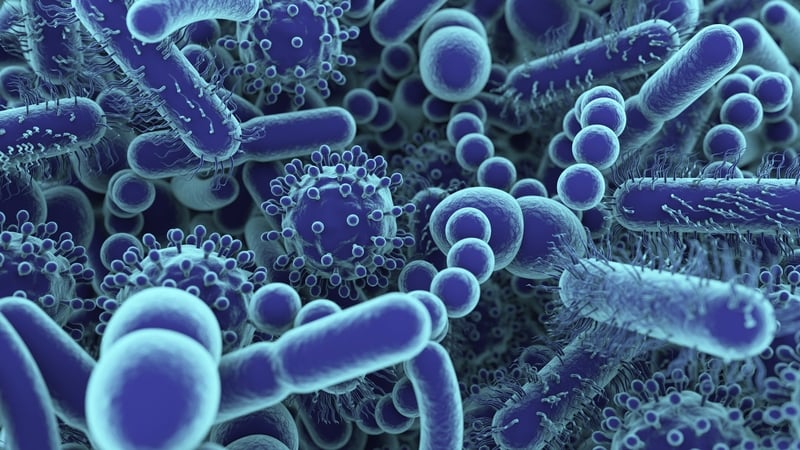 UN agency is convening over 300 scientists to consider evidence on more than 25 virus families and bacteria