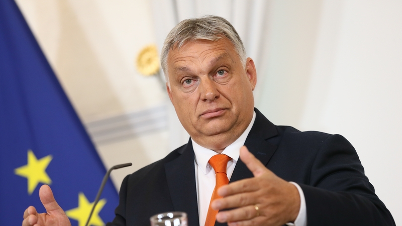 Mr Orban is opposed to using the EU's budget to allocate the €50 billion in economic support to Ukraine (file image)