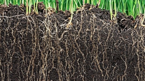 Origin said its two new purchases will complement its Neo Environmental and Keystone Environmental businesses