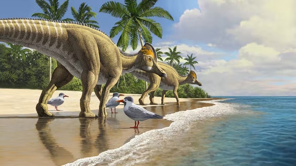 Ajnabia odysseus lived 66 million years ago, making it one of the last dinosaurs on Earth. Image: Raul Martin