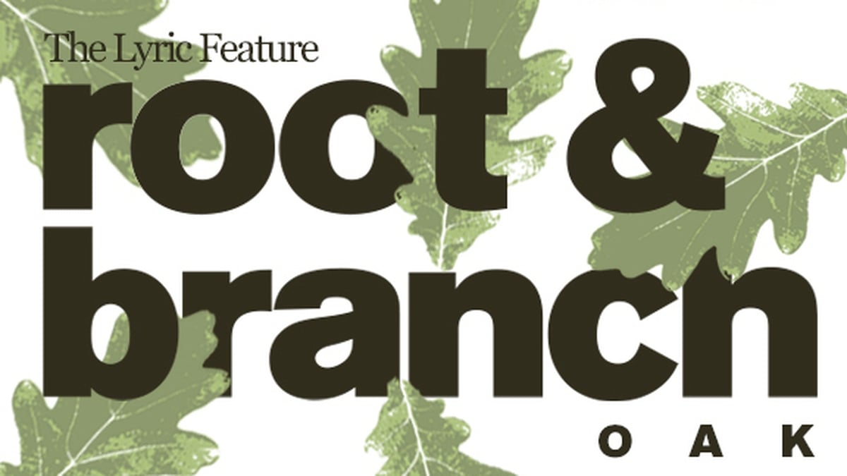 Root and Branch: Episode 6 - Oak | The Lyric Feature 