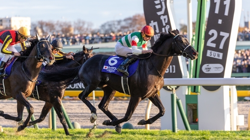 Vela Azul crosses the finish line in the Japan Cup