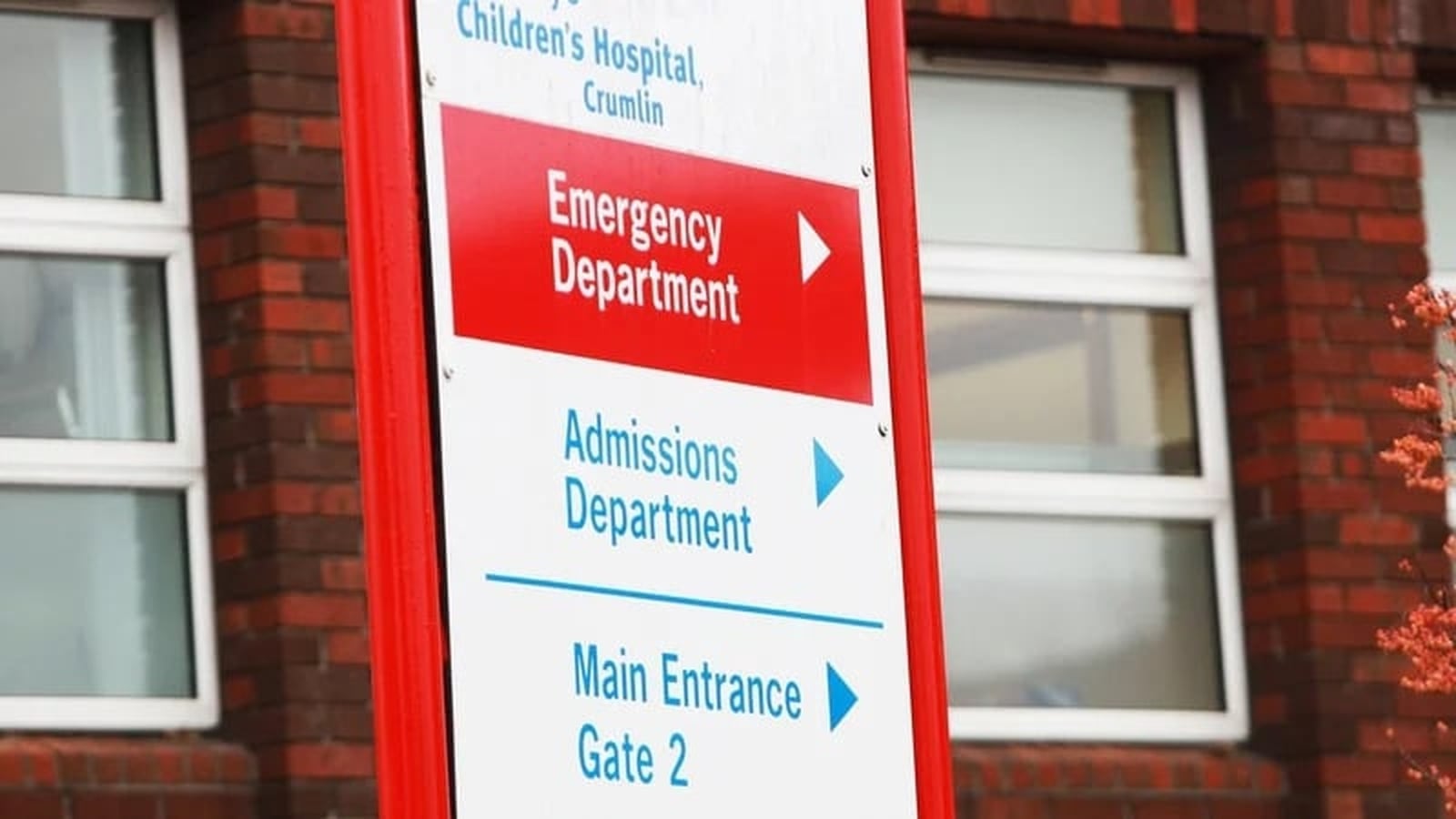 Boy Seriously Injured in Dog Attack, Kilkenny - News Directory 3