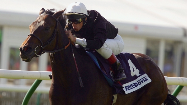 Ouija Board won 10 times and finished in the first three in 18 of her 22 career outings