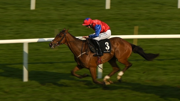 Facile Vega is set for a tilt at the Arkle