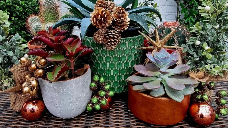 Experts offer some styling ideas for plants you already have.