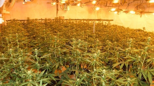 Gardaí have described it as a sophisticated growhouse operation