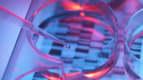 Home DNA tests have become hugely popular in recent years - but users may be unwittingly handing over a significant amount of data to private firms