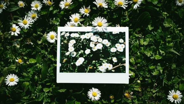 Let's Dive In: What are memories?