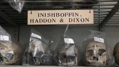 The skulls were removed from the island in 1890 (File pic: Ciarán Walsh, curator.ie)