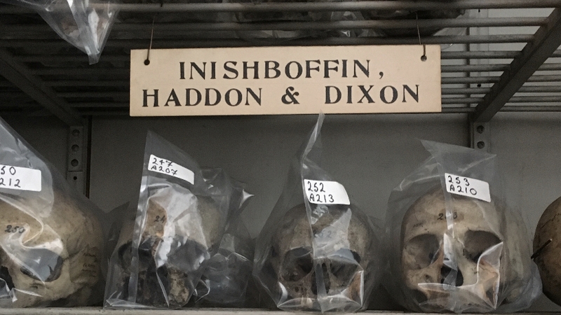 The skulls were removed from the island in 1890 (File pic: Ciarán Walsh, curator.ie)