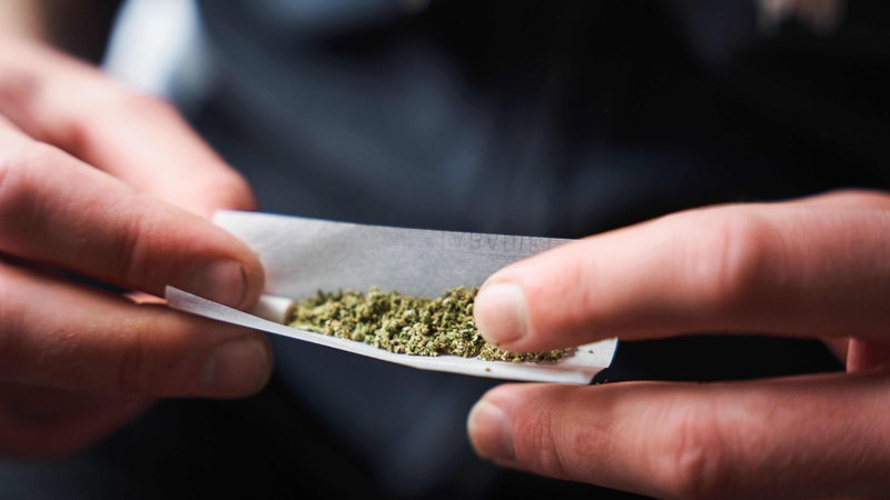 A group of doctors have expressed concern at the increasing use of cannabis