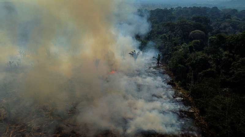 For MapBiomas, the spike in November's fire numbers was a surprise as the month usually coincides with the rainy season (file image)