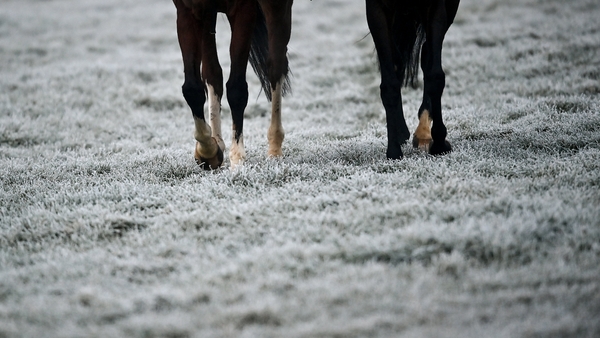 Two Irish meetings are in doubt