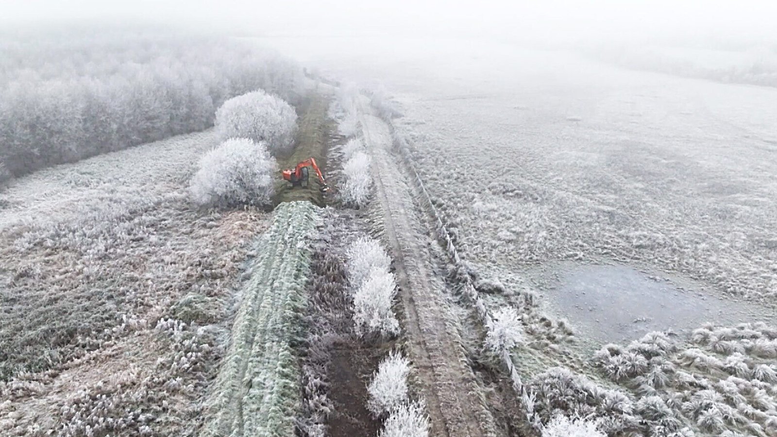 The canal is currently being dredged to remove a build-up of sediment and soil.