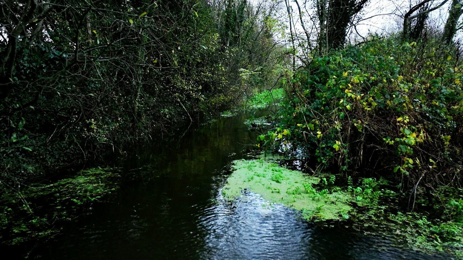 Long-running complaints eventually prompted an investigation into pollution in 2021.