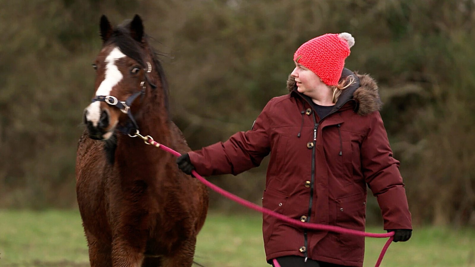 Sarah Mulcahy's farm is located across the road from the business park.