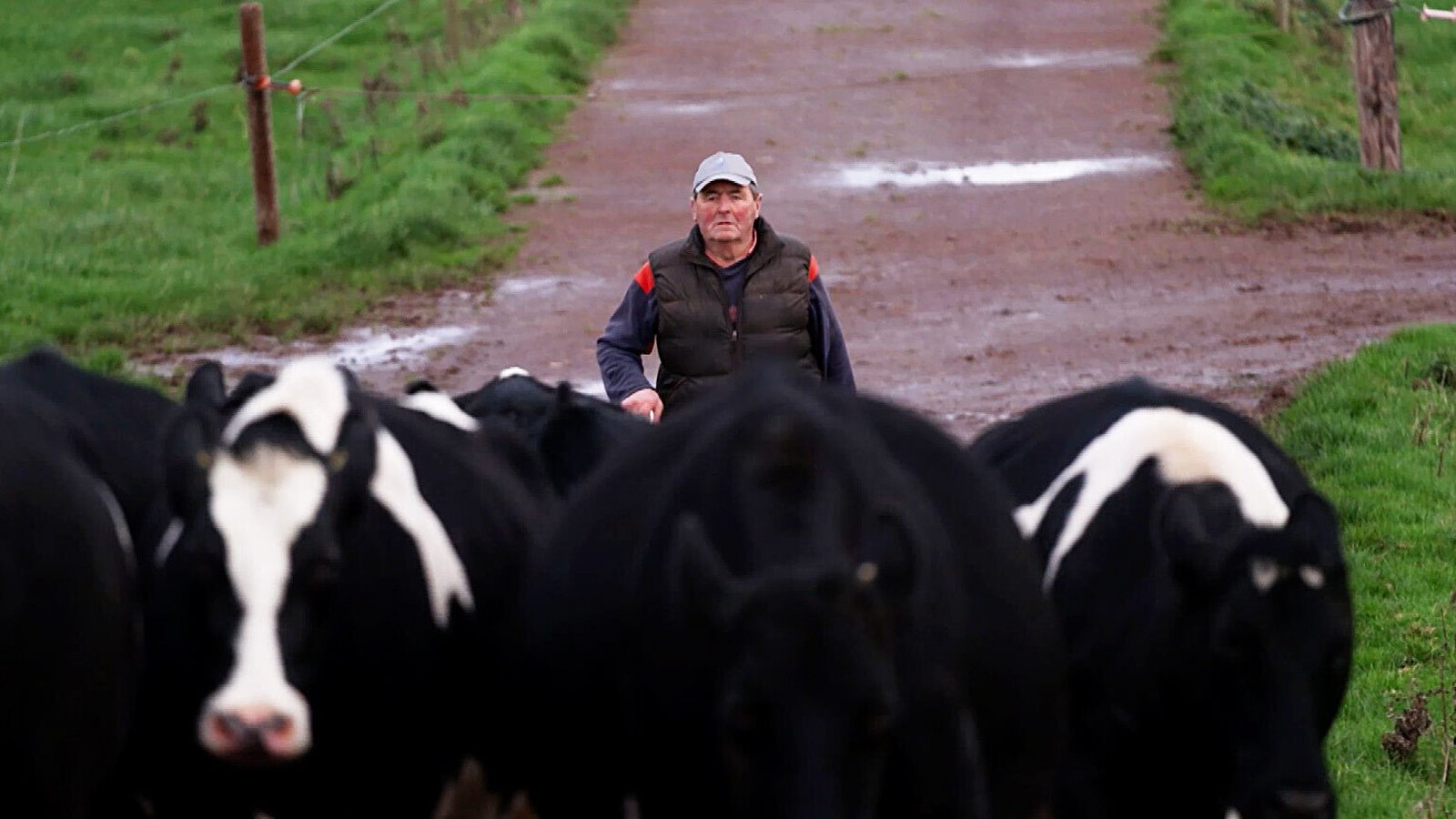 Dairy farmer Tom Ryan is well known for his involvement with Limerick hurling