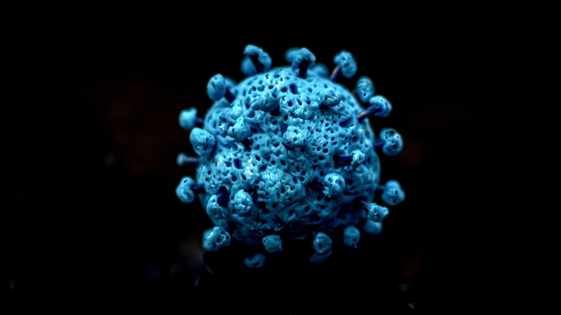 The WHO says all countries need to learn to manage Covid alongside other respiratory illnesses