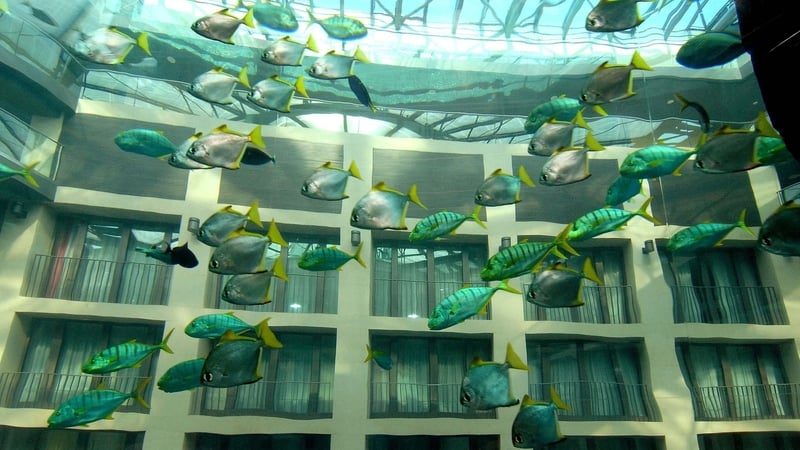The aquarium was housed in the foyer of a Radisson Blu hotel in central Berlin