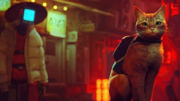 'Stray is at the crossroads of a puzzle, adventure, and cat simulator'.