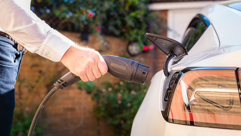 Petrol cars continue to lead the new car market