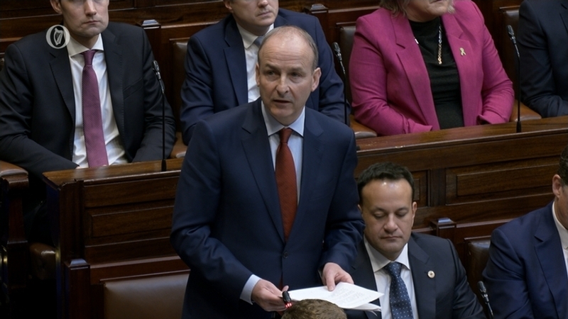 Tánaiste Micheál Martin said the extension of the ban could reduce supply and increase rents