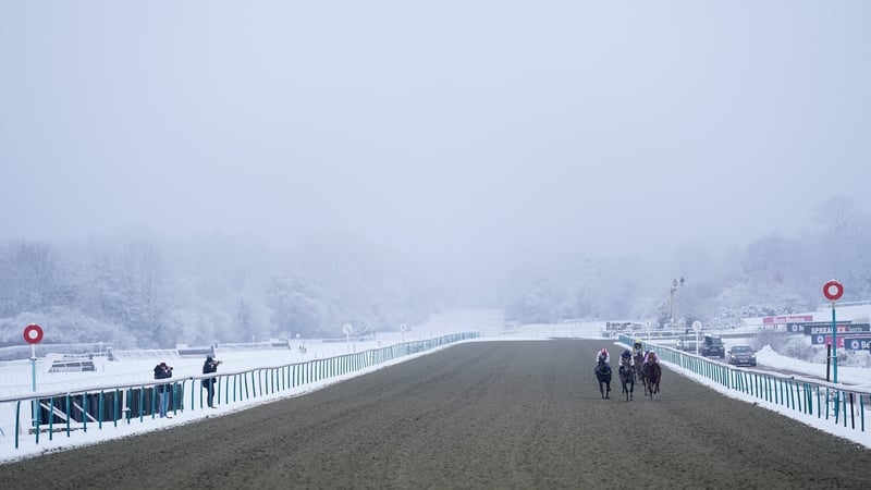 Lingfield failed to beat the freeze