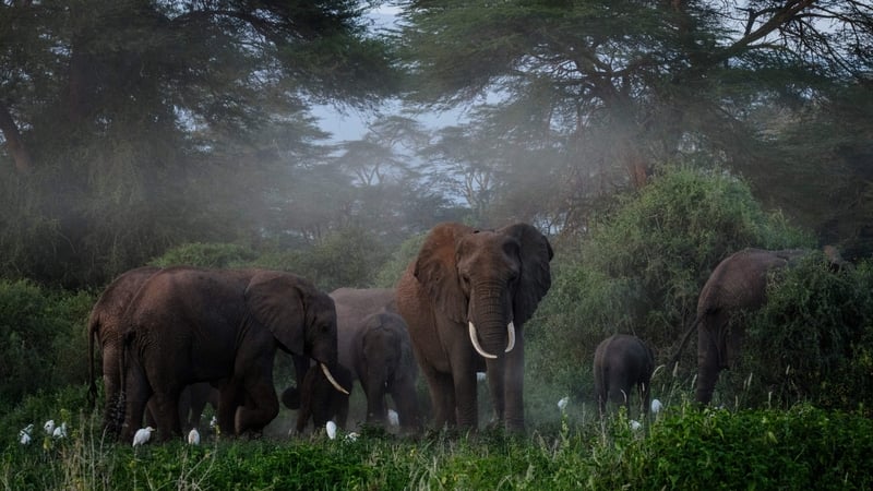 Some experts have said 30% is a low aim, insisting that protecting 50% would be better