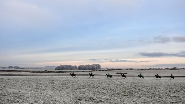 13 December: Horses and riders from the string of trainer Johnny Murtagh on the gallops at a forsty Curragh