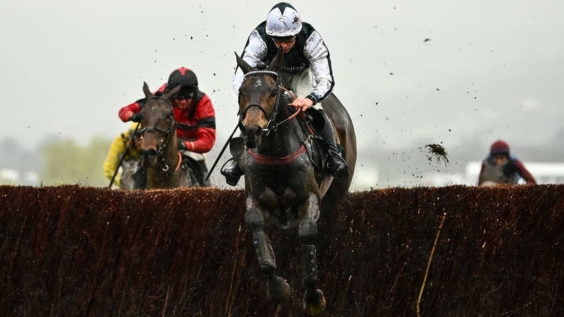 L'Homme Presse was a general 6-1 chance for the Gold Cup