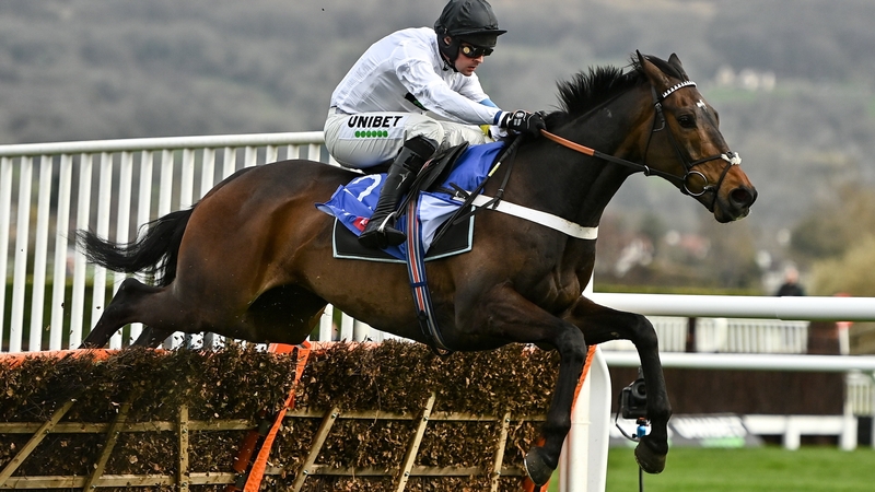 Nico de Boinville has ridden Constitution Hill to five wins in as many starts