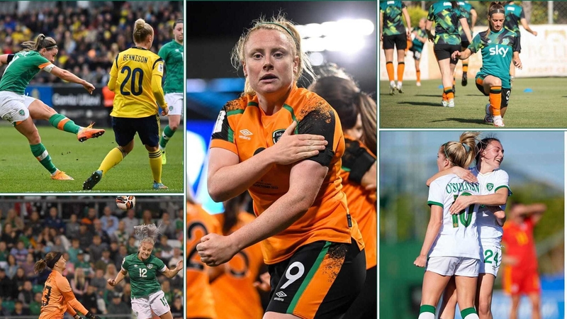 The Republic of Ireland have had a fairytale year