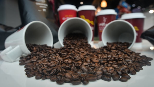 25 years in business, Insomnia has grown from a single location in a Galway bookstore in 1997 to over 175 coffee shops throughout Ireland and the UK