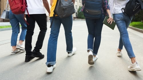 The Global Youth Participation Index found that Ireland had an average score of 75% across a range of areas, including politics and electoral participation (file image)