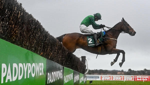 Blue Lord and Daryl Jacob clear the last at Leopardstown