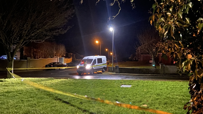 The incident took place at Glenwood Estate, Carrigaline at around 5.45pm on Wednesday