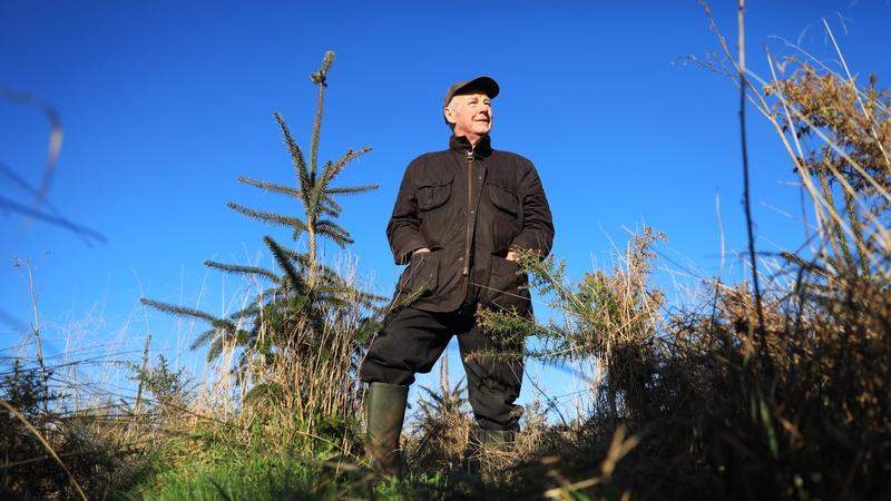 'You can dander around here, do your own thing and nobody annoys you' Stewart Hood said