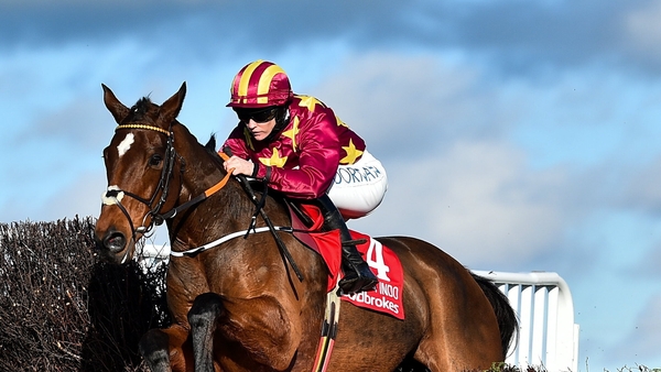 Minella Indo was running for the first time since this year's Gold Cuo