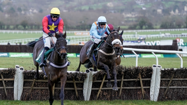 Nico de Boinville aboard Marie's Rock (light blue on the right) won the Relkeel Hurdle at Cheltenham