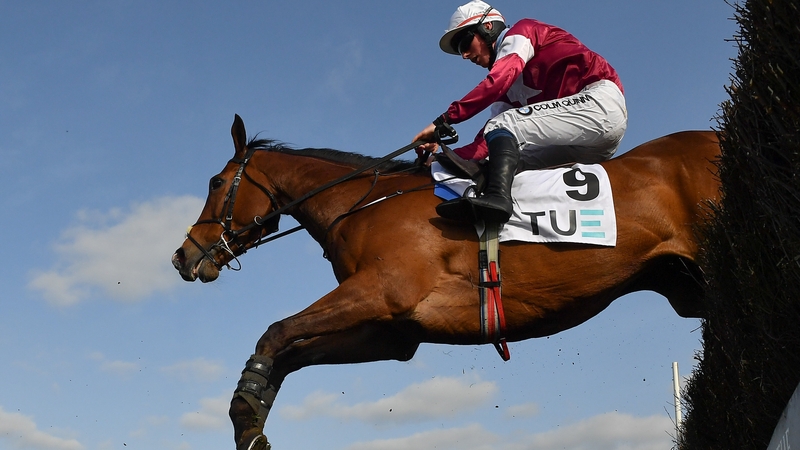 Scarlet And Dove had finished third 12 months ago