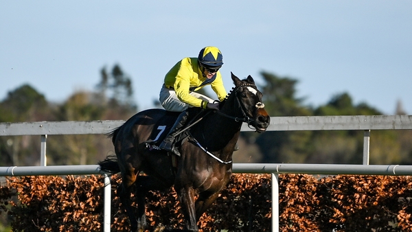 Good Land could be aimed at the Ballymore