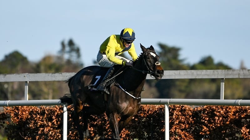 Good Land in action at Leopardstown in December