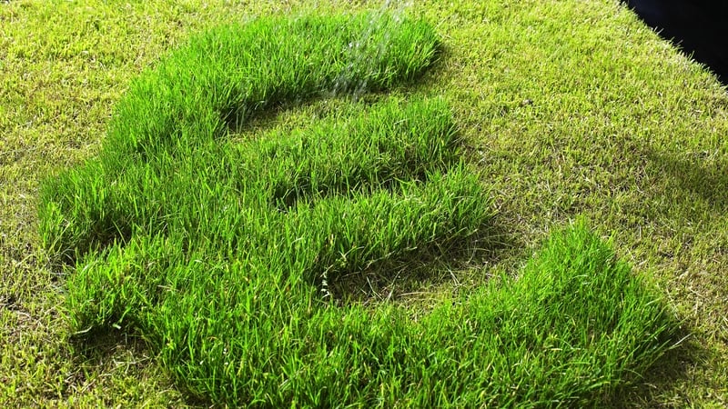 NTMA said it has hired a syndicate of banks and brokers to sell the 20 year green bond