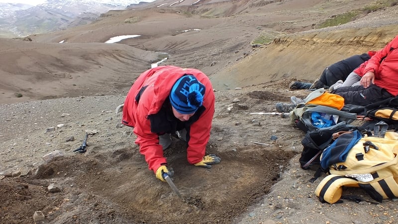 The fossils were found in in the Las Chinas Valley which has emerged as an important fossil deposit over the last ten years. Pictured: Archaeologists in the area in 2016.
