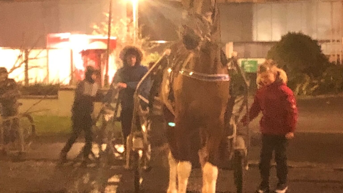 Anti-immigration protests